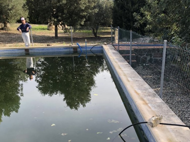 72c5a517 1a72 4db7 8ea7 3d15c81e86dd 72c5a517 1a72 4db7 8ea7 3d15c81e86dd