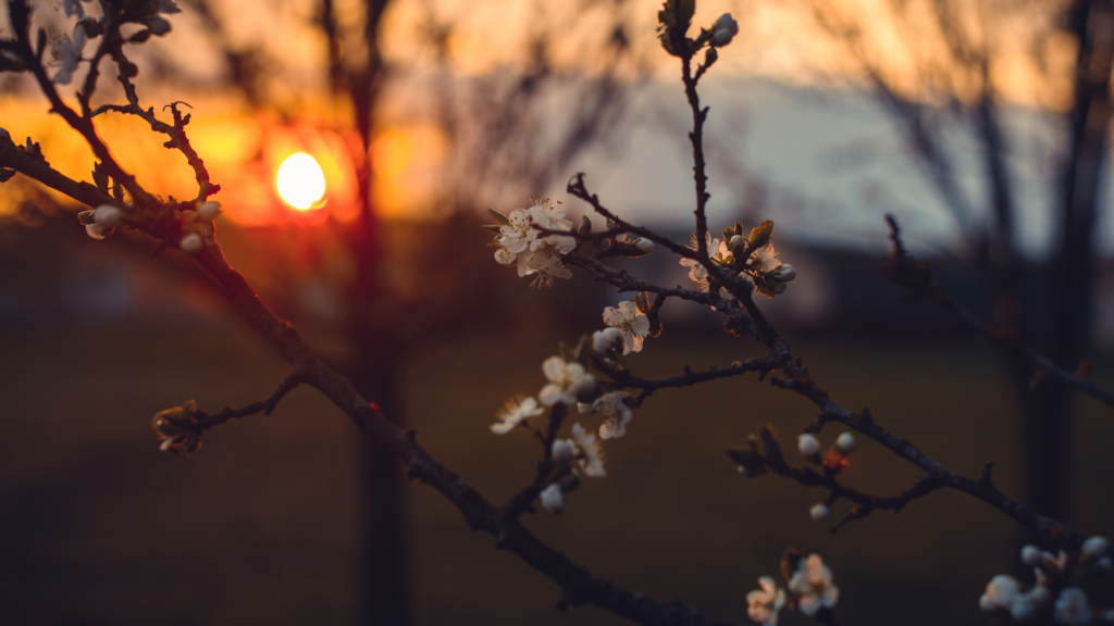 ontwerp zonder titel (44)