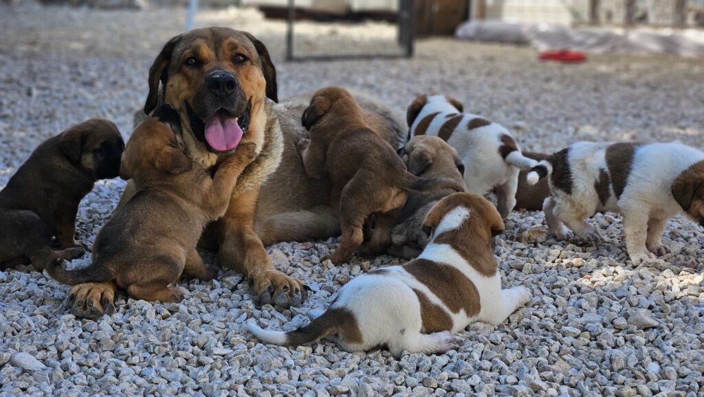 photo 2025 05 31 22 25 03 photo 2025 05 31 22 25 03