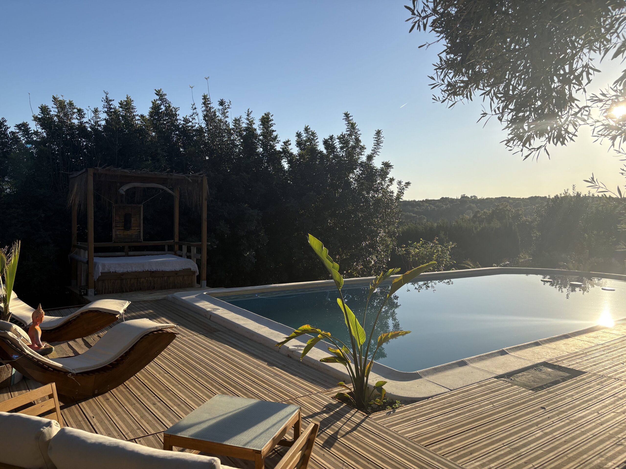 Wellness Day at the Pool